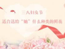 三八婦女節，適合送給“她”什么種類的鮮花？